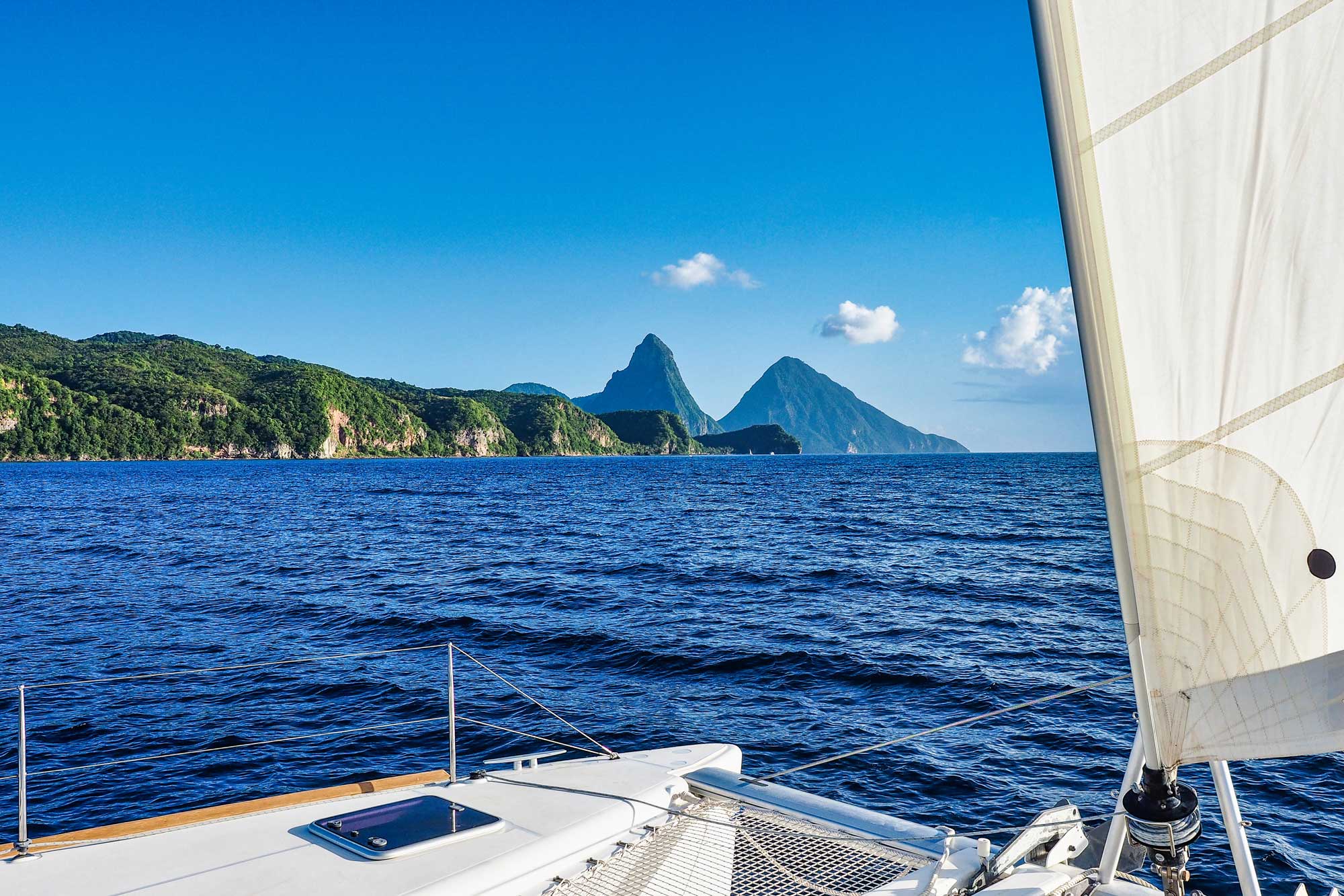 Asset Management & Financial Plans | Azalea Wealth Partners