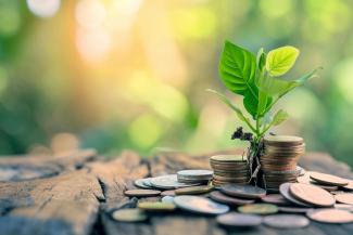 Corporate Profits and Dividends | Azalea Wealth Partners TX