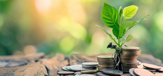 Corporate Profits and Dividends | Azalea Wealth Partners TX